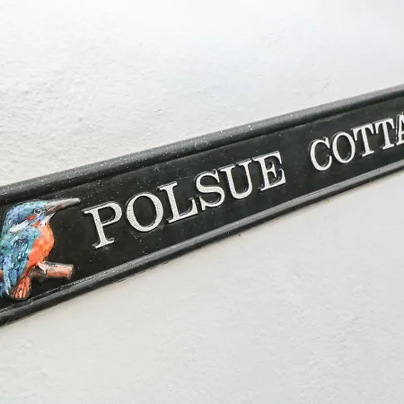 Polsue